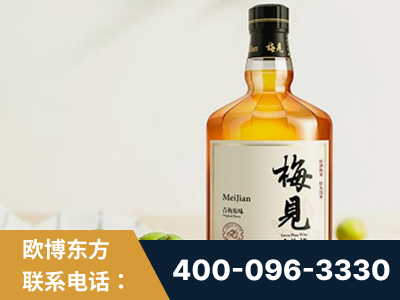 抚州-梅见青梅酒